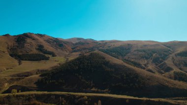 Avrupa 'daki Güzel Yoğunluk Ormanı (124; 4K Hava Aracı: Lush Green Woodland Manzarası 124; Doğal Çevre, Ağaçlar ve Yaban Hayatı - 124; Huzurlu Doğa, Çevre Turizmi ve Manzarası Ormanı  