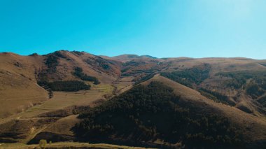 Avrupa 'daki Güzel Yoğunluk Ormanı (124; 4K Hava Aracı: Lush Green Woodland Manzarası 124; Doğal Çevre, Ağaçlar ve Yaban Hayatı - 124; Huzurlu Doğa, Çevre Turizmi ve Manzarası Ormanı  