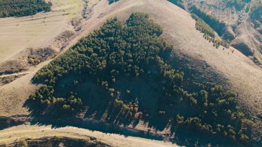Avrupa 'daki Güzel Yoğunluk Ormanı (124; 4K Hava Aracı: Lush Green Woodland Manzarası 124; Doğal Çevre, Ağaçlar ve Yaban Hayatı - 124; Huzurlu Doğa, Çevre Turizmi ve Manzarası Ormanı  