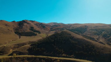 Avrupa 'daki Güzel Yoğunluk Ormanı (124; 4K Hava Aracı: Lush Green Woodland Manzarası 124; Doğal Çevre, Ağaçlar ve Yaban Hayatı - 124; Huzurlu Doğa, Çevre Turizmi ve Manzarası Ormanı  