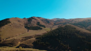 Avrupa 'daki Güzel Yoğunluk Ormanı (124; 4K Hava Aracı: Lush Green Woodland Manzarası 124; Doğal Çevre, Ağaçlar ve Yaban Hayatı - 124; Huzurlu Doğa, Çevre Turizmi ve Manzarası Ormanı  