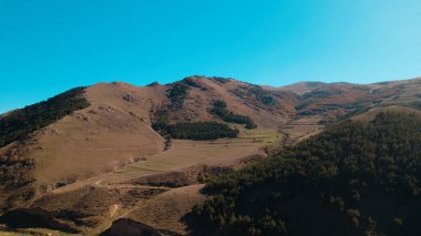 Avrupa 'daki Güzel Yoğunluk Ormanı (124; 4K Hava Aracı: Lush Green Woodland Manzarası 124; Doğal Çevre, Ağaçlar ve Yaban Hayatı - 124; Huzurlu Doğa, Çevre Turizmi ve Manzarası Ormanı  