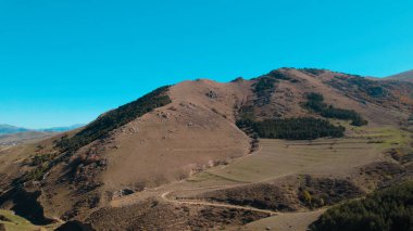 Avrupa 'daki Güzel Yoğunluk Ormanı (124; 4K Hava Aracı: Lush Green Woodland Manzarası 124; Doğal Çevre, Ağaçlar ve Yaban Hayatı - 124; Huzurlu Doğa, Çevre Turizmi ve Manzarası Ormanı  