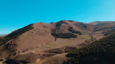 Avrupa 'daki Güzel Yoğunluk Ormanı (124; 4K Hava Aracı: Lush Green Woodland Manzarası 124; Doğal Çevre, Ağaçlar ve Yaban Hayatı - 124; Huzurlu Doğa, Çevre Turizmi ve Manzarası Ormanı  