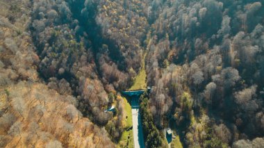 Avrupa 'daki Güzel Yoğunluk Ormanı (124; 4K Hava Aracı: Lush Green Woodland Manzarası 124; Doğal Çevre, Ağaçlar ve Yaban Hayatı - 124; Huzurlu Doğa, Çevre Turizmi ve Manzarası Ormanı  