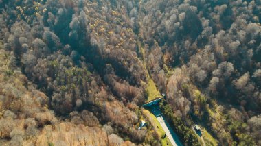Avrupa 'daki Güzel Yoğunluk Ormanı (124; 4K Hava Aracı: Lush Green Woodland Manzarası 124; Doğal Çevre, Ağaçlar ve Yaban Hayatı - 124; Huzurlu Doğa, Çevre Turizmi ve Manzarası Ormanı  
