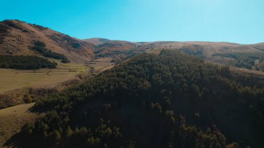 Avrupa 'daki Güzel Yoğunluk Ormanı (124; 4K Hava Aracı: Lush Green Woodland Manzarası 124; Doğal Çevre, Ağaçlar ve Yaban Hayatı - 124; Huzurlu Doğa, Çevre Turizmi ve Manzarası Ormanı  