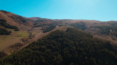 Avrupa 'daki Güzel Yoğunluk Ormanı (124; 4K Hava Aracı: Lush Green Woodland Manzarası 124; Doğal Çevre, Ağaçlar ve Yaban Hayatı - 124; Huzurlu Doğa, Çevre Turizmi ve Manzarası Ormanı  