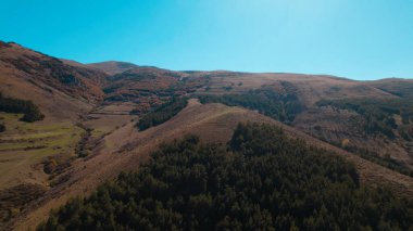 Avrupa 'daki Güzel Yoğunluk Ormanı (124; 4K Hava Aracı: Lush Green Woodland Manzarası 124; Doğal Çevre, Ağaçlar ve Yaban Hayatı - 124; Huzurlu Doğa, Çevre Turizmi ve Manzarası Ormanı  