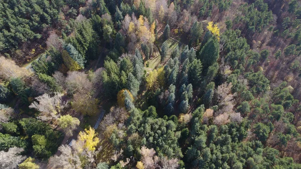 Avrupa 'da Güzel Yoğunluk Ormanı (124; 4K Hava Aracı: Lush Green Woodland Arazi Çekimi: 124; Doğal Çevre, Ağaçlar ve Vahşi Yaşam: 124; Huzurlu Doğa, Çevre, Çevre Turizmi ve Manzara Ormanı Fotoğrafı.