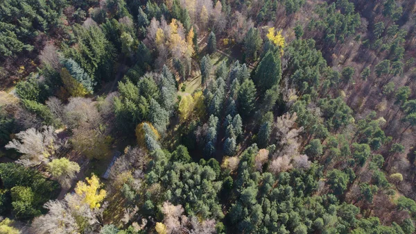 Avrupa 'da Güzel Yoğunluk Ormanı (124; 4K Hava Aracı: Lush Green Woodland Arazi Çekimi: 124; Doğal Çevre, Ağaçlar ve Vahşi Yaşam: 124; Huzurlu Doğa, Çevre, Çevre Turizmi ve Manzara Ormanı Fotoğrafı.