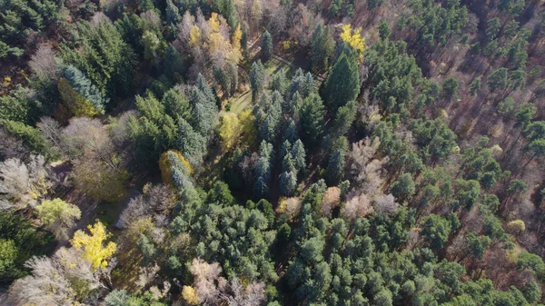 Avrupa 'da Güzel Yoğunluk Ormanı (124; 4K Hava Aracı: Lush Green Woodland Arazi Çekimi: 124; Doğal Çevre, Ağaçlar ve Vahşi Yaşam: 124; Huzurlu Doğa, Çevre, Çevre Turizmi ve Manzara Ormanı Fotoğrafı.