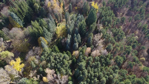 Avrupa 'da Güzel Yoğunluk Ormanı (124; 4K Hava Aracı: Lush Green Woodland Arazi Çekimi: 124; Doğal Çevre, Ağaçlar ve Vahşi Yaşam: 124; Huzurlu Doğa, Çevre, Çevre Turizmi ve Manzara Ormanı Fotoğrafı.