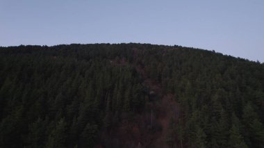 Avrupa 'daki Güzel Yoğunluk Ormanı (124; 4K Hava Aracı: Lush Green Woodland Manzarası 124; Doğal Çevre, Ağaçlar ve Yaban Hayatı - 124; Huzurlu Doğa, Çevre Turizmi ve Manzarası Ormanı 