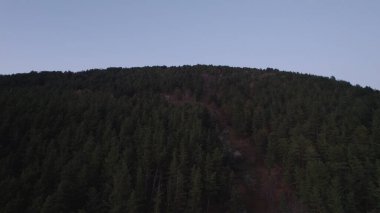 Avrupa 'daki Güzel Yoğunluk Ormanı (124; 4K Hava Aracı: Lush Green Woodland Manzarası 124; Doğal Çevre, Ağaçlar ve Yaban Hayatı - 124; Huzurlu Doğa, Çevre Turizmi ve Manzarası Ormanı 