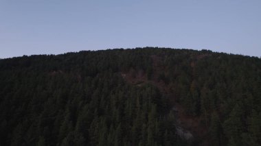 Avrupa 'daki Güzel Yoğunluk Ormanı (124; 4K Hava Aracı: Lush Green Woodland Manzarası 124; Doğal Çevre, Ağaçlar ve Yaban Hayatı - 124; Huzurlu Doğa, Çevre Turizmi ve Manzarası Ormanı 