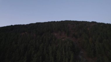 Avrupa 'daki Güzel Yoğunluk Ormanı (124; 4K Hava Aracı: Lush Green Woodland Manzarası 124; Doğal Çevre, Ağaçlar ve Yaban Hayatı - 124; Huzurlu Doğa, Çevre Turizmi ve Manzarası Ormanı 