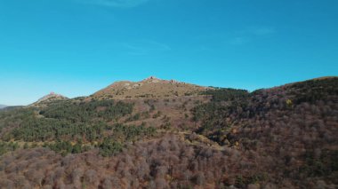 Avrupa 'daki Güzel Yoğunluk Ormanı (124; 4K Hava Aracı: Lush Green Woodland Manzarası 124; Doğal Çevre, Ağaçlar ve Yaban Hayatı - 124; Huzurlu Doğa, Çevre Turizmi ve Manzarası Ormanı 