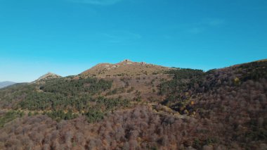 Avrupa 'daki Güzel Yoğunluk Ormanı (124; 4K Hava Aracı: Lush Green Woodland Manzarası 124; Doğal Çevre, Ağaçlar ve Yaban Hayatı - 124; Huzurlu Doğa, Çevre Turizmi ve Manzarası Ormanı 
