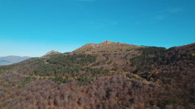 Avrupa 'daki Güzel Yoğunluk Ormanı (124; 4K Hava Aracı: Lush Green Woodland Manzarası 124; Doğal Çevre, Ağaçlar ve Yaban Hayatı - 124; Huzurlu Doğa, Çevre Turizmi ve Manzarası Ormanı 