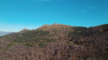 Avrupa 'daki Güzel Yoğunluk Ormanı (124; 4K Hava Aracı: Lush Green Woodland Manzarası 124; Doğal Çevre, Ağaçlar ve Yaban Hayatı - 124; Huzurlu Doğa, Çevre Turizmi ve Manzarası Ormanı 