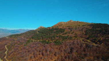 Avrupa 'daki Güzel Yoğunluk Ormanı (124; 4K Hava Aracı: Lush Green Woodland Manzarası 124; Doğal Çevre, Ağaçlar ve Yaban Hayatı - 124; Huzurlu Doğa, Çevre Turizmi ve Manzarası Ormanı 