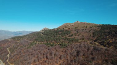 Avrupa 'daki Güzel Yoğunluk Ormanı (124; 4K Hava Aracı: Lush Green Woodland Manzarası 124; Doğal Çevre, Ağaçlar ve Yaban Hayatı - 124; Huzurlu Doğa, Çevre Turizmi ve Manzarası Ormanı 