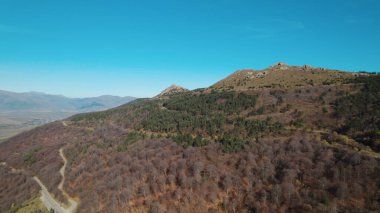 Avrupa 'daki Güzel Yoğunluk Ormanı (124; 4K Hava Aracı: Lush Green Woodland Manzarası 124; Doğal Çevre, Ağaçlar ve Yaban Hayatı - 124; Huzurlu Doğa, Çevre Turizmi ve Manzarası Ormanı 