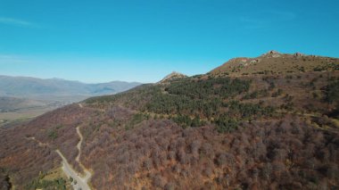 Avrupa 'daki Güzel Yoğunluk Ormanı (124; 4K Hava Aracı: Lush Green Woodland Manzarası 124; Doğal Çevre, Ağaçlar ve Yaban Hayatı - 124; Huzurlu Doğa, Çevre Turizmi ve Manzarası Ormanı 