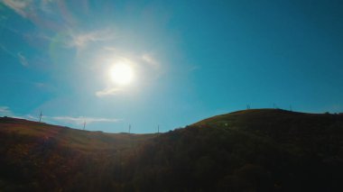 Avrupa 'daki Güzel Yoğunluk Ormanı (124; 4K Hava Aracı: Lush Green Woodland Manzarası 124; Doğal Çevre, Ağaçlar ve Yaban Hayatı - 124; Huzurlu Doğa, Çevre Turizmi ve Manzarası Ormanı 