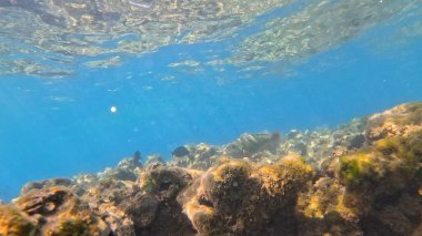 Güzel deniz manzarası