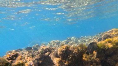 Güzel deniz manzarası