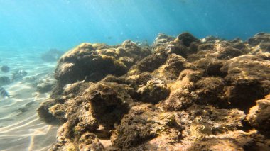 Arka planda güzel deniz suyu