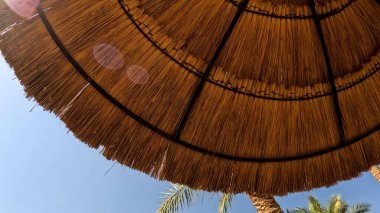 Kumsal Şemsiyesi ve Sunbed, Sandy Coast 'ta. Okyanus manzaralı deniz kenarı tatil konsepti. Deniz tatil köyü atmosferi dinleniyor. Okyanus kıyısında huzurlu bir yaz günü. Seyahat Konsepti.