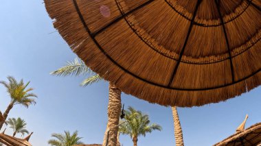 Kumsal Şemsiyesi ve Sunbed, Sandy Coast 'ta. Okyanus manzaralı deniz kenarı tatil konsepti. Deniz tatil köyü atmosferi dinleniyor. Okyanus kıyısında huzurlu bir yaz günü. Seyahat Konsepti.