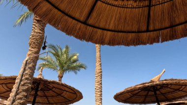 Kumsal Şemsiyesi ve Sunbed, Sandy Coast 'ta. Okyanus manzaralı deniz kenarı tatil konsepti. Deniz tatil köyü atmosferi dinleniyor. Okyanus kıyısında huzurlu bir yaz günü. Seyahat Konsepti.