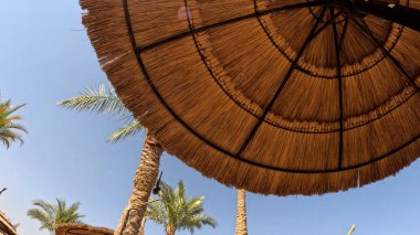 Kumsal Şemsiyesi ve Sunbed, Sandy Coast 'ta. Okyanus manzaralı deniz kenarı tatil konsepti. Deniz tatil köyü atmosferi dinleniyor. Okyanus kıyısında huzurlu bir yaz günü. Seyahat Konsepti.