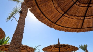 Kumsal Şemsiyesi ve Sunbed, Sandy Coast 'ta. Okyanus manzaralı deniz kenarı tatil konsepti. Deniz tatil köyü atmosferi dinleniyor. Okyanus kıyısında huzurlu bir yaz günü. Seyahat Konsepti.