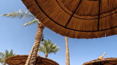 Kumsal Şemsiyesi ve Sunbed, Sandy Coast 'ta. Okyanus manzaralı deniz kenarı tatil konsepti. Deniz tatil köyü atmosferi dinleniyor. Okyanus kıyısında huzurlu bir yaz günü. Seyahat Konsepti.