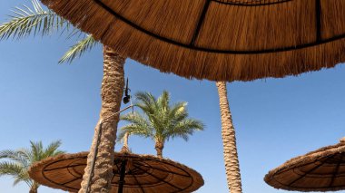 Kumsal Şemsiyesi ve Sunbed, Sandy Coast 'ta. Okyanus manzaralı deniz kenarı tatil konsepti. Deniz tatil köyü atmosferi dinleniyor. Okyanus kıyısında huzurlu bir yaz günü. Seyahat Konsepti.