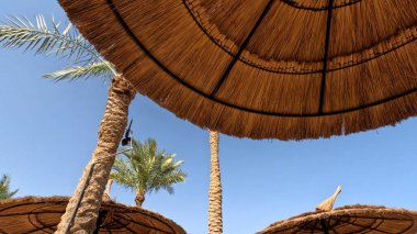 Kumsal Şemsiyesi ve Sunbed, Sandy Coast 'ta. Okyanus manzaralı deniz kenarı tatil konsepti. Deniz tatil köyü atmosferi dinleniyor. Okyanus kıyısında huzurlu bir yaz günü. Seyahat Konsepti.