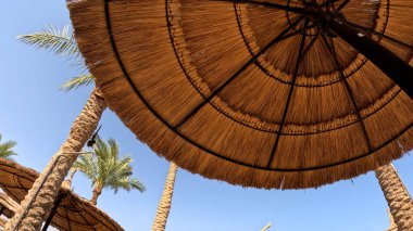 Kumsal Şemsiyesi ve Sunbed, Sandy Coast 'ta. Okyanus manzaralı deniz kenarı tatil konsepti. Deniz tatil köyü atmosferi dinleniyor. Okyanus kıyısında huzurlu bir yaz günü. Seyahat Konsepti.