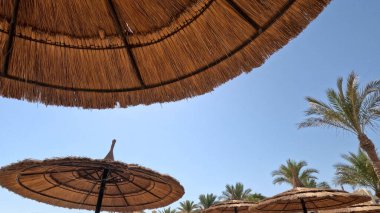 Kumsal Şemsiyesi ve Sunbed, Sandy Coast 'ta. Okyanus manzaralı deniz kenarı tatil konsepti. Deniz tatil köyü atmosferi dinleniyor. Okyanus kıyısında huzurlu bir yaz günü. Seyahat Konsepti.