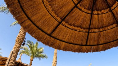 Kumsal Şemsiyesi ve Sunbed, Sandy Coast 'ta. Okyanus manzaralı deniz kenarı tatil konsepti. Deniz tatil köyü atmosferi dinleniyor. Okyanus kıyısında huzurlu bir yaz günü. Seyahat Konsepti.