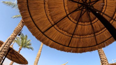 Kumsal Şemsiyesi ve Sunbed, Sandy Coast 'ta. Okyanus manzaralı deniz kenarı tatil konsepti. Deniz tatil köyü atmosferi dinleniyor. Okyanus kıyısında huzurlu bir yaz günü. Seyahat Konsepti.