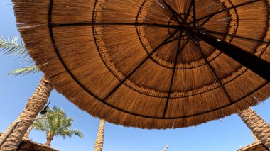 Kumsal Şemsiyesi ve Sunbed, Sandy Coast 'ta. Okyanus manzaralı deniz kenarı tatil konsepti. Deniz tatil köyü atmosferi dinleniyor. Okyanus kıyısında huzurlu bir yaz günü. Seyahat Konsepti.