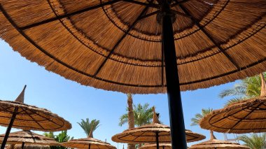 Kumsal Şemsiyesi ve Sunbed, Sandy Coast 'ta. Okyanus manzaralı deniz kenarı tatil konsepti. Deniz tatil köyü atmosferi dinleniyor. Okyanus kıyısında huzurlu bir yaz günü. Seyahat Konsepti.