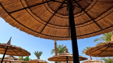 Kumsal Şemsiyesi ve Sunbed, Sandy Coast 'ta. Okyanus manzaralı deniz kenarı tatil konsepti. Deniz tatil köyü atmosferi dinleniyor. Okyanus kıyısında huzurlu bir yaz günü. Seyahat Konsepti.