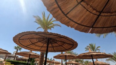 Kumsal Şemsiyesi ve Sunbed, Sandy Coast 'ta. Okyanus manzaralı deniz kenarı tatil konsepti. Deniz tatil köyü atmosferi dinleniyor. Okyanus kıyısında huzurlu bir yaz günü. Seyahat Konsepti.