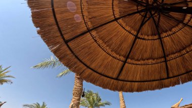 Kumsal Şemsiyesi ve Sunbed, Sandy Coast 'ta. Okyanus manzaralı deniz kenarı tatil konsepti. Deniz tatil köyü atmosferi dinleniyor. Okyanus kıyısında huzurlu bir yaz günü. Seyahat Konsepti.